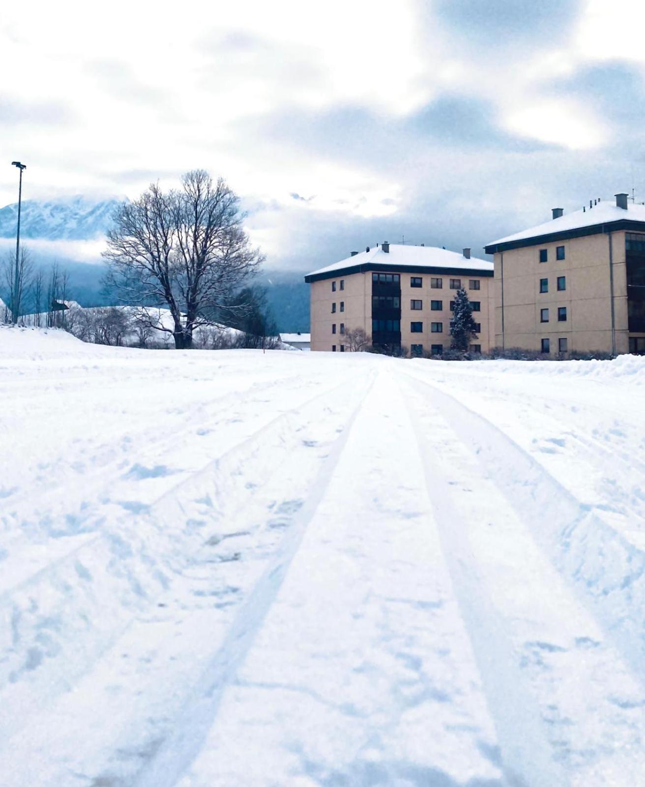 Aurea Apartment